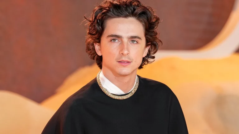 10 Timothée Chalamet Facts You Never Knew About the Rising Star